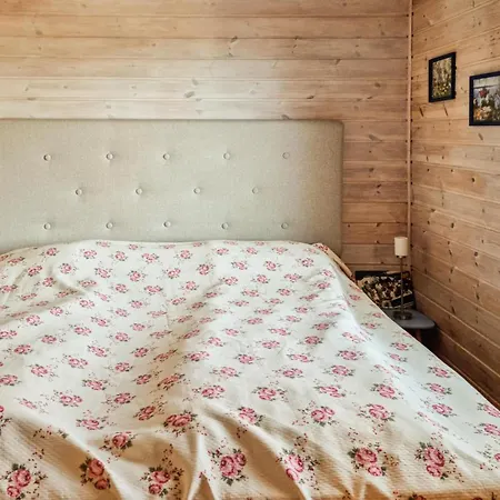 Cozy In With Kitchen Sondeled